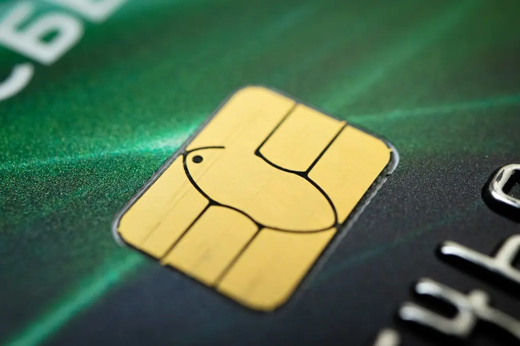 Answers to Common Credit Score Questions